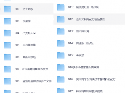 花了2.4万，全部买下来的小吃制作教程，适合小本创业学艺